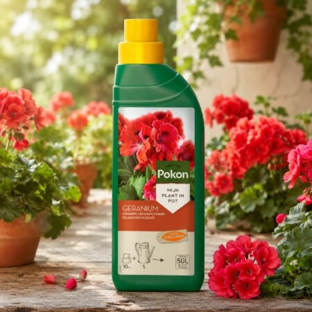 POKON GERANIUM 500ML