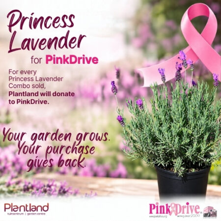 Buy 3 Princess Lavender Combo