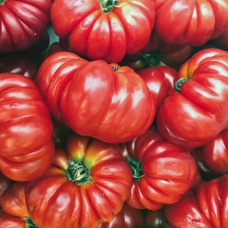 Tomato 'Oxheart'