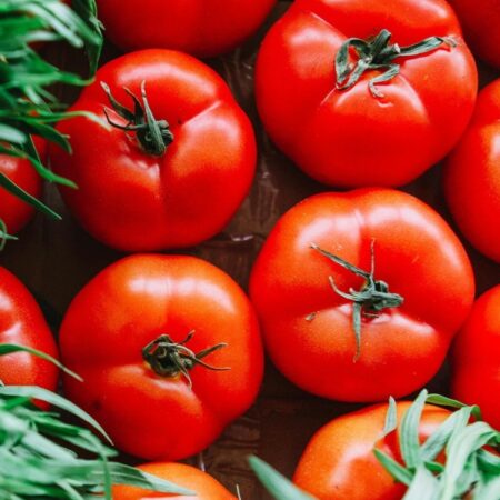 Tomato Rodade